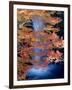 Waterfalls and Autumn Leaves-null-Framed Photographic Print