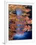 Waterfalls and Autumn Leaves-null-Framed Photographic Print