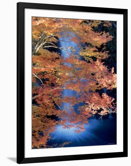 Waterfalls and Autumn Leaves-null-Framed Photographic Print