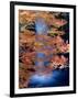 Waterfalls and Autumn Leaves-null-Framed Photographic Print