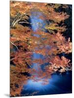 Waterfalls and Autumn Leaves-null-Mounted Photographic Print