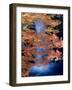 Waterfalls and Autumn Leaves-null-Framed Photographic Print