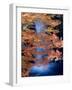 Waterfalls and Autumn Leaves-null-Framed Photographic Print