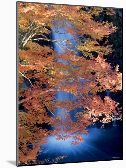 Waterfalls and Autumn Leaves-null-Mounted Photographic Print