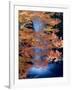 Waterfalls and Autumn Leaves-null-Framed Photographic Print