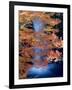 Waterfalls and Autumn Leaves-null-Framed Photographic Print