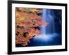 Waterfalls and Autumn Leaves-null-Framed Photographic Print