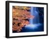 Waterfalls and Autumn Leaves-null-Framed Photographic Print