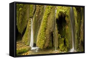 Waterfalls and Mosses (Cratoneuron Sp) and (Bryum Sp),Labudovac Barrier, Plitvice Lakes Np, Croatia-Biancarelli-Framed Stretched Canvas