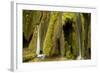 Waterfalls and Mosses (Cratoneuron Sp) and (Bryum Sp),Labudovac Barrier, Plitvice Lakes Np, Croatia-Biancarelli-Framed Photographic Print