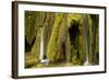 Waterfalls and Mosses (Cratoneuron Sp) and (Bryum Sp),Labudovac Barrier, Plitvice Lakes Np, Croatia-Biancarelli-Framed Photographic Print