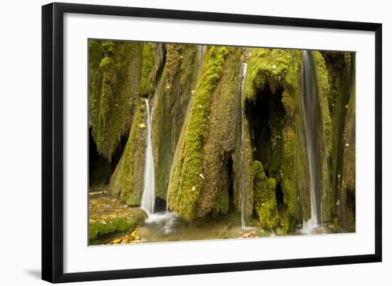 Waterfalls and Mosses (Cratoneuron Sp) and (Bryum Sp),Labudovac Barrier, Plitvice Lakes Np, Croatia-Biancarelli-Framed Photographic Print