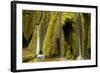 Waterfalls and Mosses (Cratoneuron Sp) and (Bryum Sp),Labudovac Barrier, Plitvice Lakes Np, Croatia-Biancarelli-Framed Photographic Print