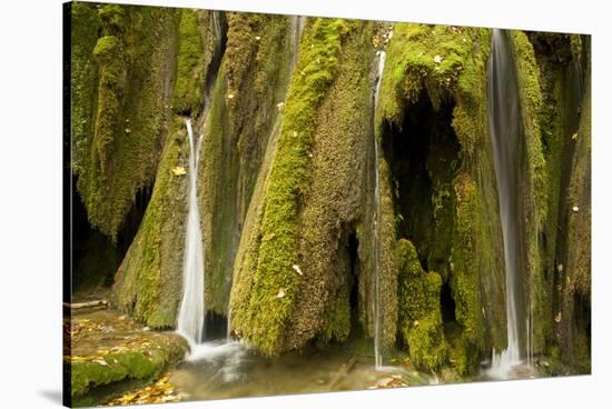 Waterfalls and Mosses (Cratoneuron Sp) and (Bryum Sp),Labudovac Barrier, Plitvice Lakes Np, Croatia-Biancarelli-Stretched Canvas