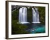 Waterfalls at Ojos Del Caburga, Araucania Region, Chile-Scott T. Smith-Framed Photographic Print