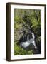 Waterfalls at Wood of Cree, Near Newton Stewart, Dumfries and Galloway, Scotland, United Kingdom-Gary Cook-Framed Photographic Print