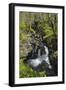 Waterfalls at Wood of Cree, Near Newton Stewart, Dumfries and Galloway, Scotland, United Kingdom-Gary Cook-Framed Photographic Print