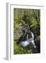 Waterfalls at Wood of Cree, Near Newton Stewart, Dumfries and Galloway, Scotland, United Kingdom-Gary Cook-Framed Photographic Print