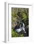 Waterfalls at Wood of Cree, Near Newton Stewart, Dumfries and Galloway, Scotland, United Kingdom-Gary Cook-Framed Photographic Print