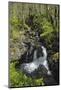 Waterfalls at Wood of Cree, Near Newton Stewart, Dumfries and Galloway, Scotland, United Kingdom-Gary Cook-Mounted Photographic Print