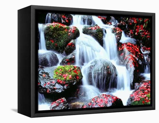 Waterfalls Kyoto Japan-null-Framed Stretched Canvas
