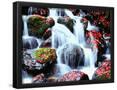 Essential Black