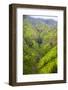 Waterfalls of Kauai-Terry Eggers-Framed Photographic Print