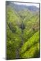 Waterfalls of Kauai-Terry Eggers-Mounted Photographic Print