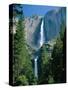 Waterfalls Swollen by Summer Snowmelt at the Upper and Lower Yosemite Falls, USA-Ruth Tomlinson-Stretched Canvas