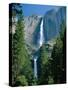 Waterfalls Swollen by Summer Snowmelt at the Upper and Lower Yosemite Falls, USA-Ruth Tomlinson-Stretched Canvas