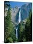 Waterfalls Swollen by Summer Snowmelt at the Upper and Lower Yosemite Falls, USA-Ruth Tomlinson-Stretched Canvas