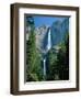 Waterfalls Swollen by Summer Snowmelt at the Upper and Lower Yosemite Falls, USA-Ruth Tomlinson-Framed Photographic Print