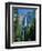 Waterfalls Swollen by Summer Snowmelt at the Upper and Lower Yosemite Falls, USA-Ruth Tomlinson-Framed Photographic Print