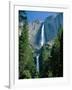 Waterfalls Swollen by Summer Snowmelt at the Upper and Lower Yosemite Falls, USA-Ruth Tomlinson-Framed Photographic Print