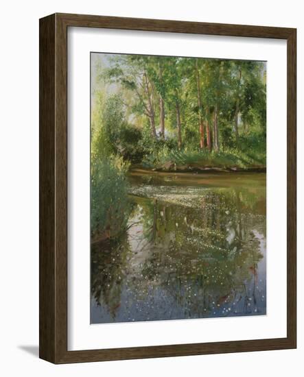 Waterflowers at Sunrise-Timothy Easton-Framed Giclee Print