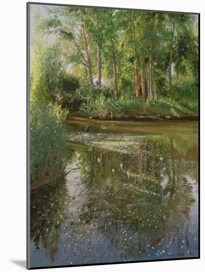 Waterflowers at Sunrise-Timothy Easton-Mounted Giclee Print