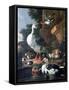 Waterfowl in a Classical Landscape, 17th Century-Melchior de Hondecoeter-Framed Stretched Canvas