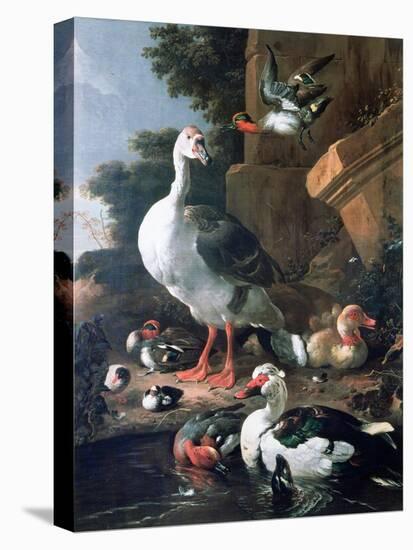 Waterfowl in a Classical Landscape, 17th Century-Melchior de Hondecoeter-Stretched Canvas