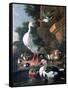 Waterfowl in a Classical Landscape, 17th Century-Melchior de Hondecoeter-Framed Stretched Canvas