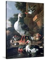 Waterfowl in a Classical Landscape, 17th Century-Melchior de Hondecoeter-Stretched Canvas