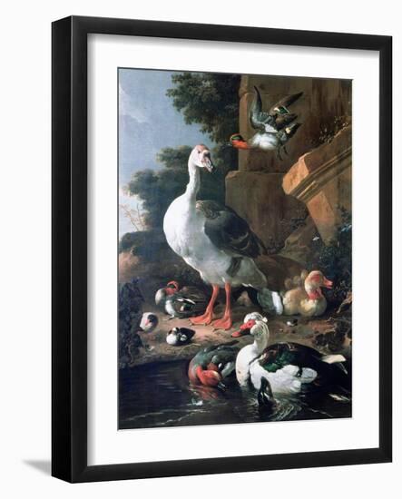 Waterfowl in a Classical Landscape, 17th Century-Melchior de Hondecoeter-Framed Giclee Print