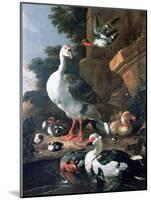 Waterfowl in a Classical Landscape, 17th Century-Melchior de Hondecoeter-Mounted Giclee Print