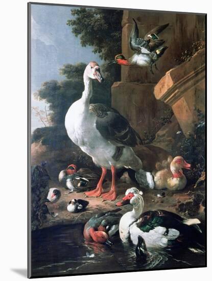 Waterfowl in a Classical Landscape, 17th Century-Melchior de Hondecoeter-Mounted Giclee Print