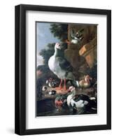 Waterfowl in a Classical Landscape, 17th Century-Melchior de Hondecoeter-Framed Giclee Print