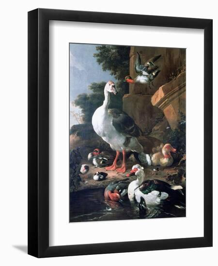 Waterfowl in a Classical Landscape, 17th Century-Melchior de Hondecoeter-Framed Giclee Print