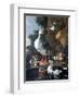 Waterfowl in a Classical Landscape, 17th Century-Melchior de Hondecoeter-Framed Giclee Print