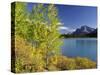 Waterfowl Lake, Banff National Park, UNESCO World Heritage Site, Rocky Mountains, Alberta, Canada, -Jochen Schlenker-Stretched Canvas