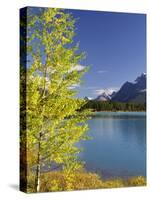 Waterfowl Lake, Banff National Park, UNESCO World Heritage Site, Rocky Mountains, Alberta, Canada,-Jochen Schlenker-Stretched Canvas