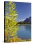 Waterfowl Lake, Banff National Park, UNESCO World Heritage Site, Rocky Mountains, Alberta, Canada,-Jochen Schlenker-Stretched Canvas