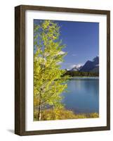 Waterfowl Lake, Banff National Park, UNESCO World Heritage Site, Rocky Mountains, Alberta, Canada,-Jochen Schlenker-Framed Photographic Print